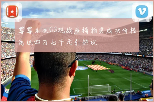 霉霉东决G3观战座椅拍卖成功价格高达四万七千元引热议