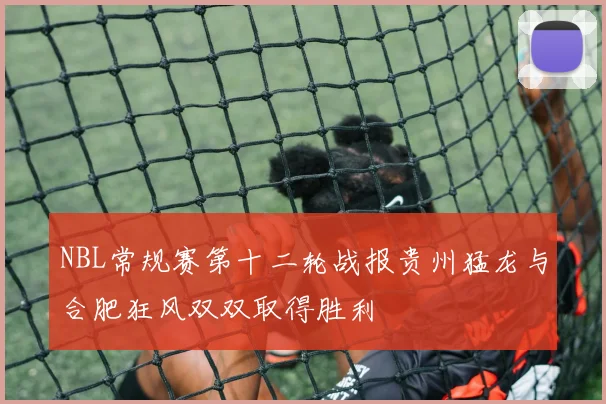 NBL常规赛第十二轮战报贵州猛龙与合肥狂风双双取得胜利