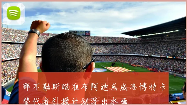 那不勒斯瞄准布阿迪或成洛博特卡替代者引援计划浮出水面